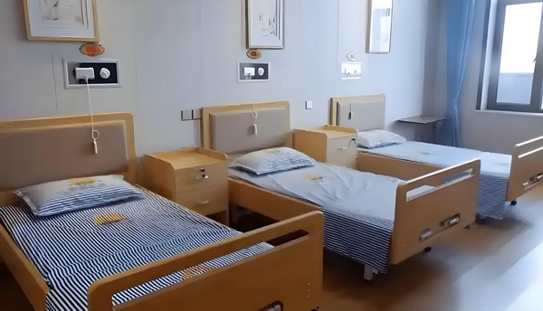 伪妆记