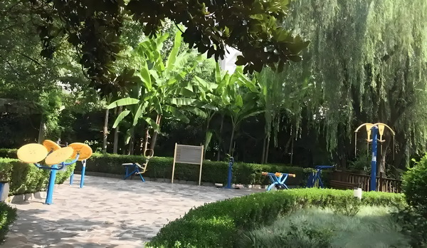 梦里与人间