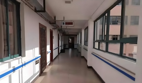 美人卷珠帘